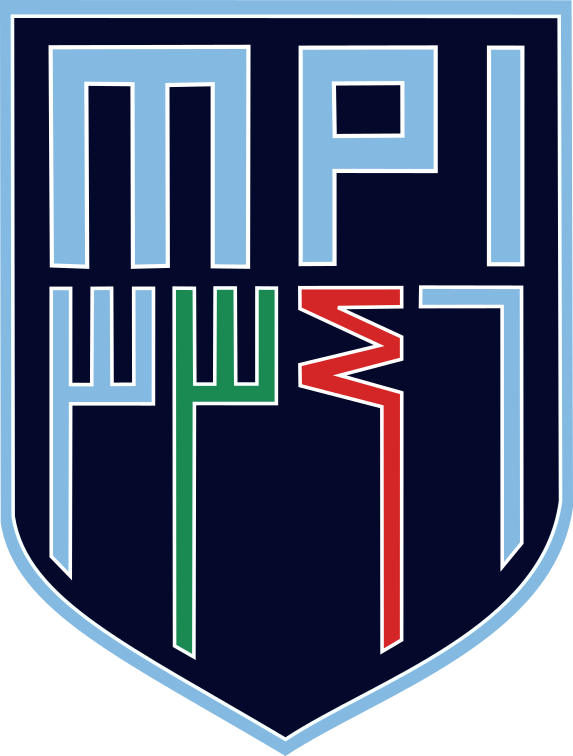 TEAM MPI